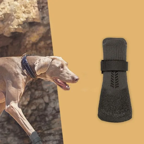 chaussettes imperméables décontractées pour chiens