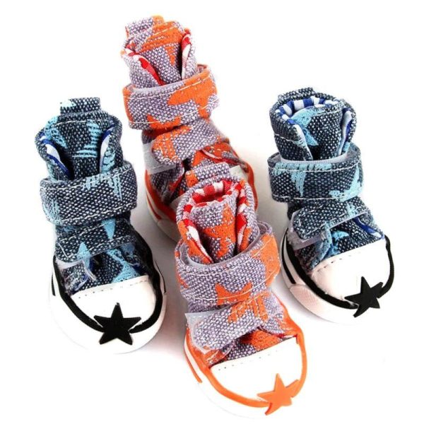 chaussure pantoufle pour chien converse