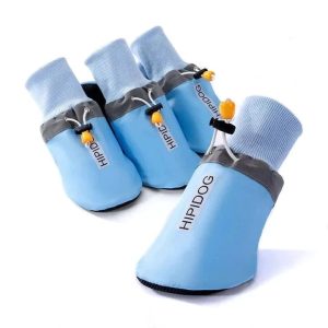 chaussures de protection pour chiens golden retriever