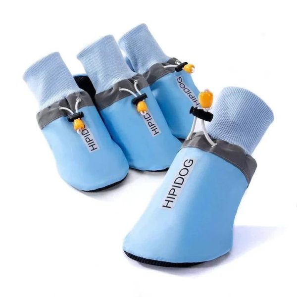 chaussures de protection pour chiens golden retriever
