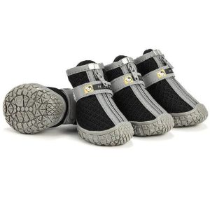 chaussures pantoufles pour chien de chasse