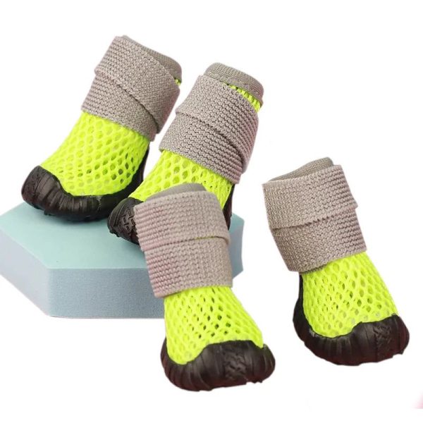 chaussures pantoufles pour chihuahua